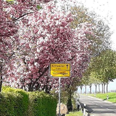 Gaestehaus Lifestyle Kirrweiler  外观 照片